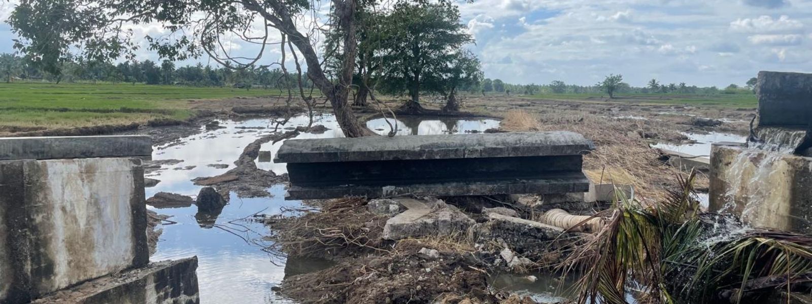 FAO Issues USD 16.5 Mn Emergency Appeal For SL